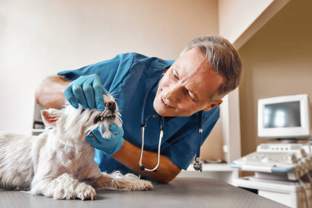 Best Emergency Root Canal Treatment in East Vineland, NJ